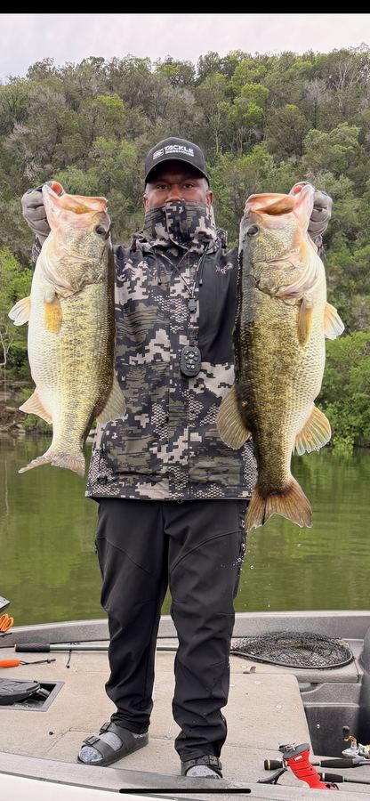 Two giant largemouth bass held side by side at the lake